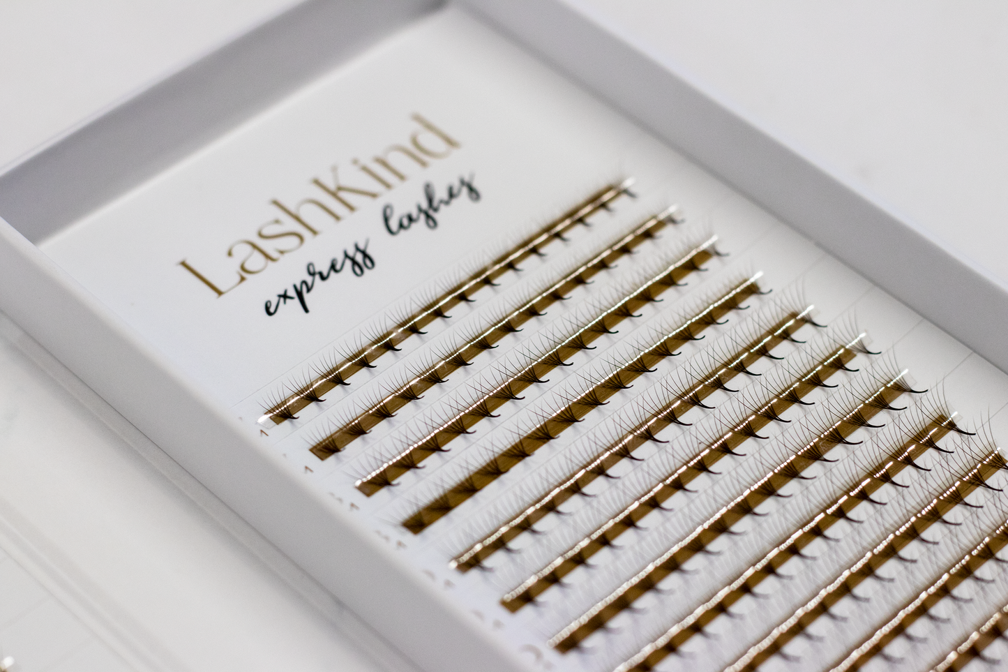 Express Color Lashes 6D .07mm