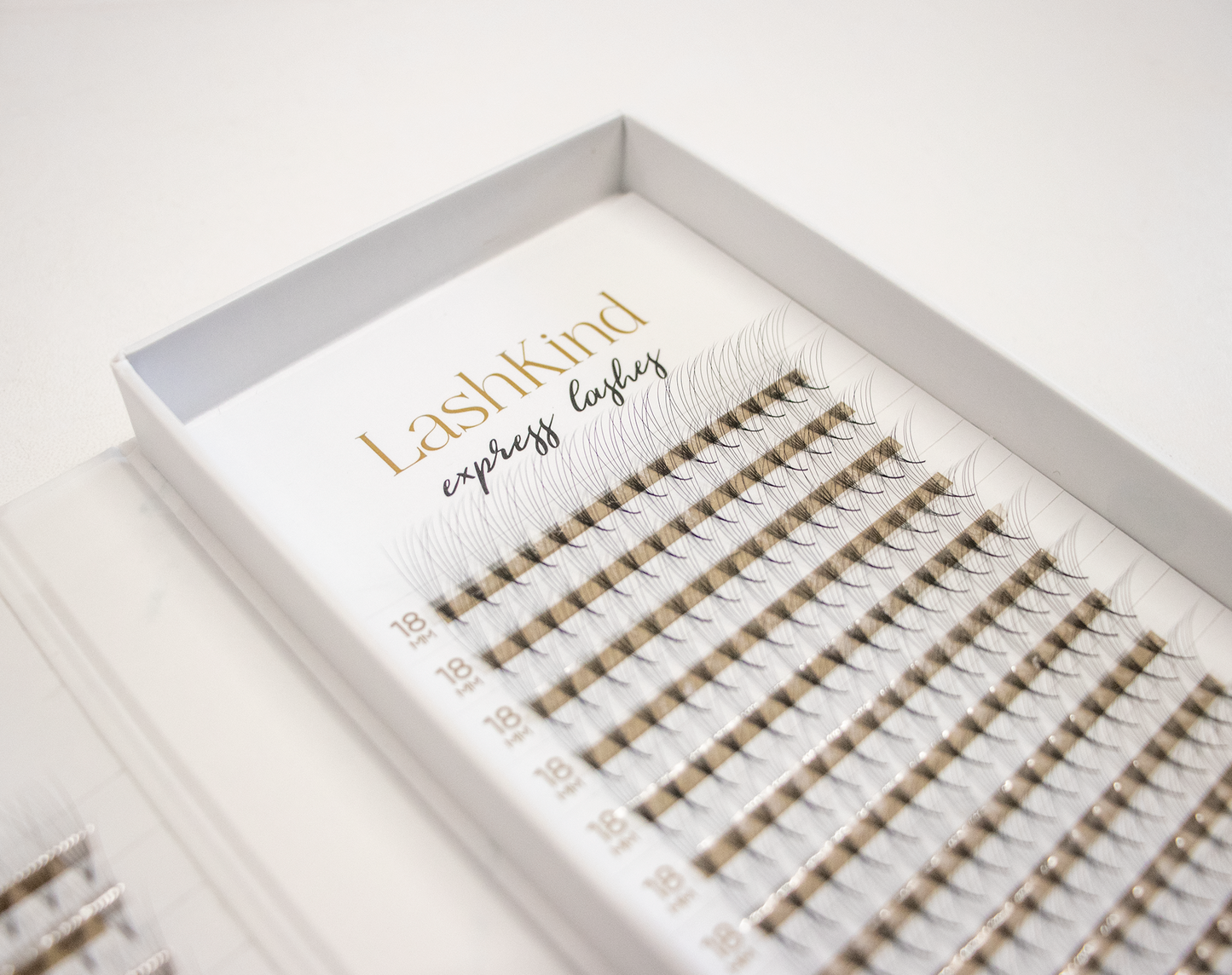 Express Lashes