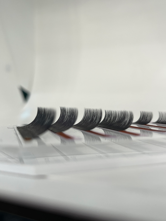 New Salon Lash Bundle 6/6: Express 10D
