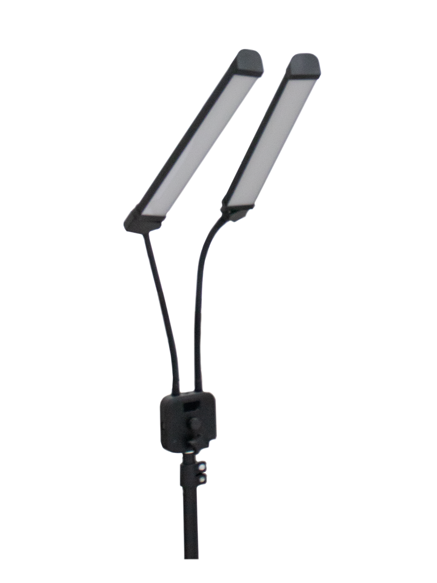 LashKind Light