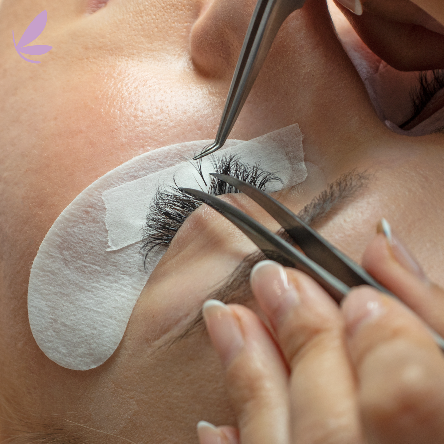 Advanced Lash Training Course: Fans